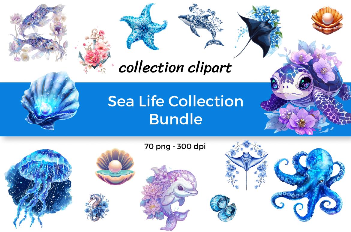 Sea Life Collection Bundle - 6 in 1, 70 PNG, 300 DPI - Etsy