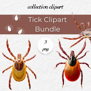 Tick Clipart Bundle – 3 Realistic PNG Files
