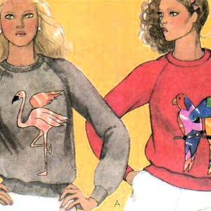 May include: Illustration of two sweatshirts. One is gray with a pink flamingo design. The other is red with a colorful parrot design. Both sweatshirts have long sleeves and are worn by figures.