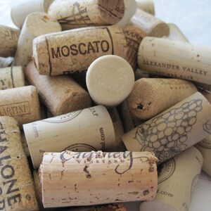 May include: A collection of used wine corks, some with printed text. The corks are various sizes and shapes, with visible markings from different wineries, including "MOSCATO" and "CHALONE VINEYARD". The color palette is primarily natural cork tones.