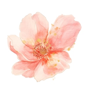 Abstract Floral Clipart: Pink, Purple & Gold Watercolor (Digital Download PNGs)