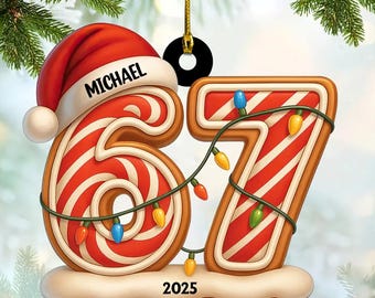 Personalized 67 Ornament, Funny Six Seven 2D Flat Ornament, Christmas Santa 67 Ornament