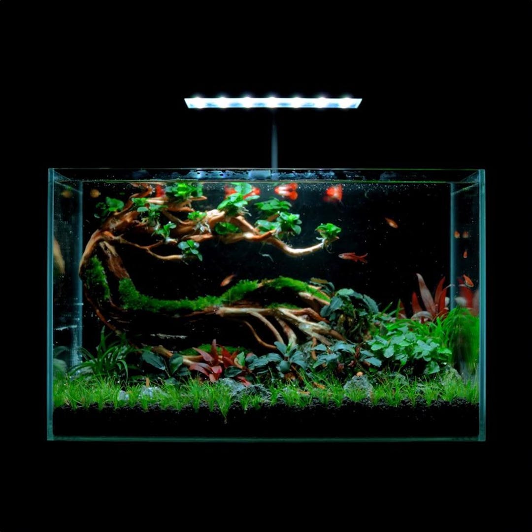 Aquatic Bonsai Tree Fish Tank, Betta Fish Decor Ideas, Handmade Natural ...