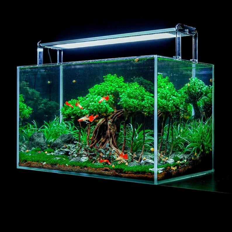 Aquarium Bonsai Tree in Fish Tank, Betta Fish Decoration Ideas ...