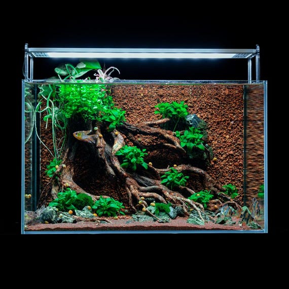 emours Mopani Aquascapehout voor aquarium, drijfhout, voor garnalen en