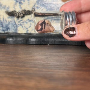 May include: A small, clear glass vial with a silver-colored screw cap containing a single, irregularly shaped, light-colored stone or organic specimen featuring distinct, dark, branching, vein-like markings across its textured surface.