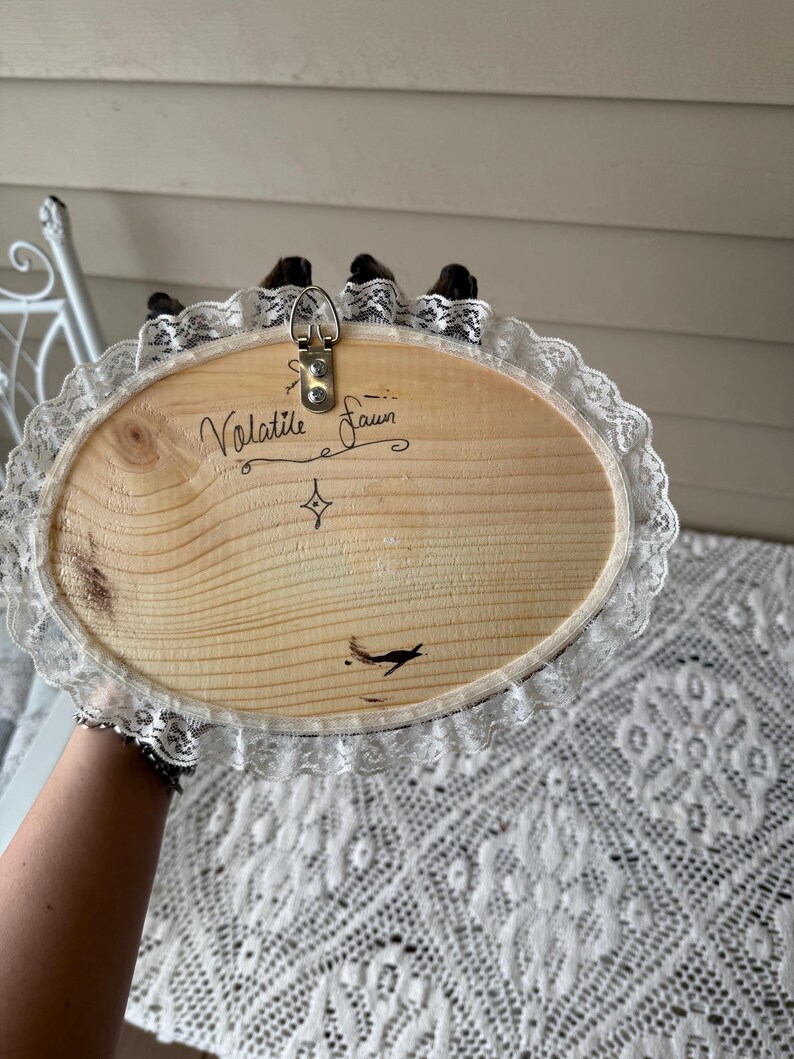 Two Headed Bunny Rabbit - Oddity Bunny Plaque - Mummfied - Gothic ...