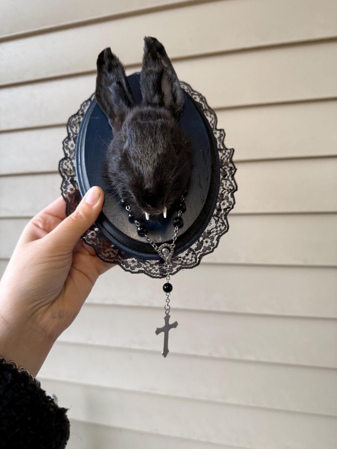 Mummified Rabbit Vampire Bunny Rabbit - Mummified Wall Art Display - Gift - Gothic ...