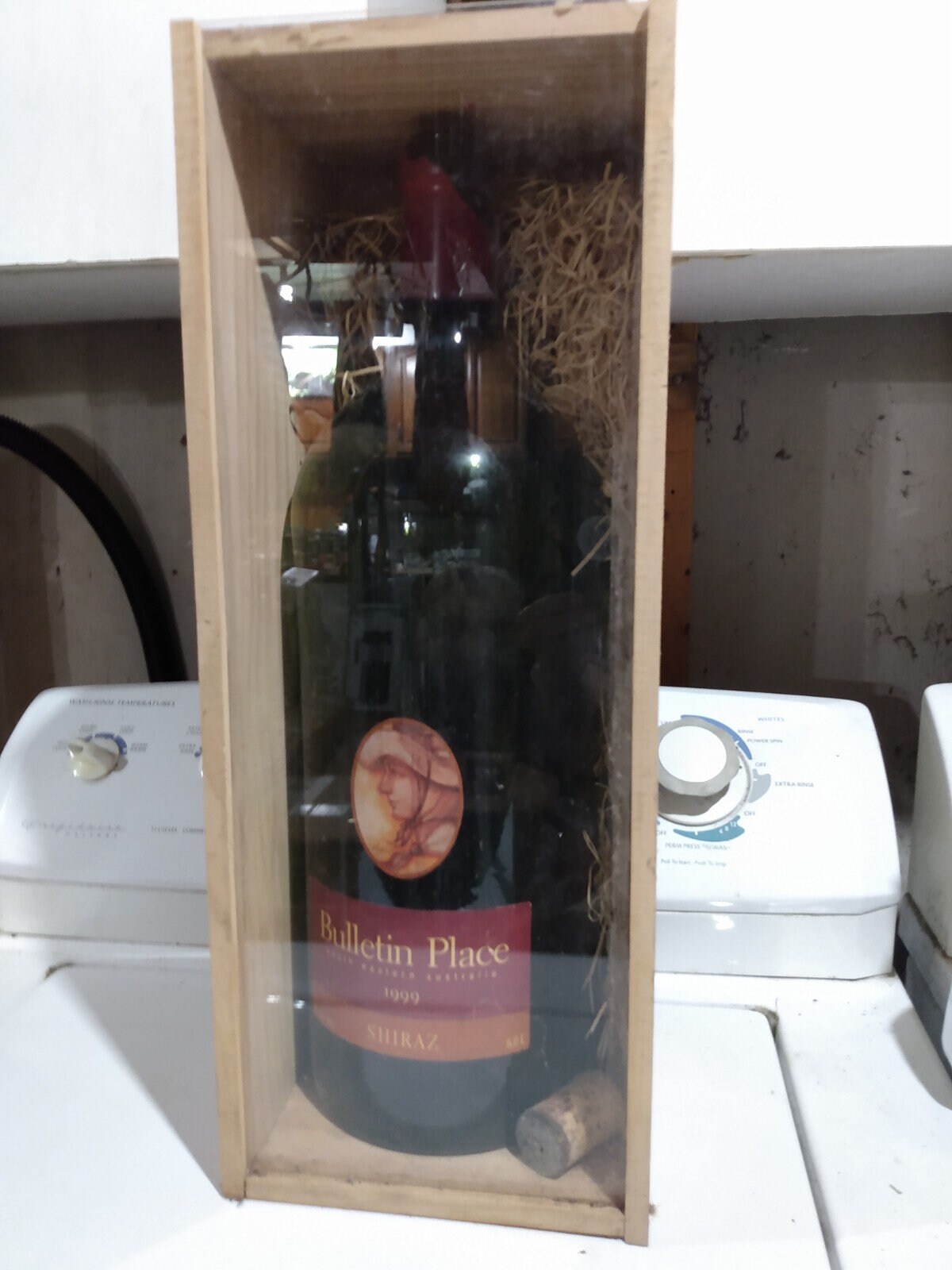 Methuselah Bottle Etsy