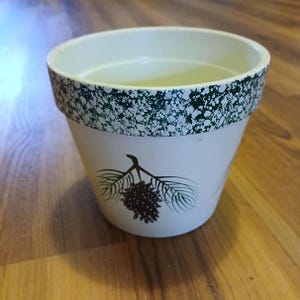 May include: A cream-colored ceramic plant pot featuring a dark green speckled rim and a brown pinecone graphic with pine needles on the front. The pot has a wide, open top and a tapered body, providing a simple container for indoor greenery.