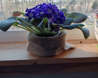 Pretty Burlap Houseplant Wraps - 4 x 6 - Country Charm! Wholesale available!