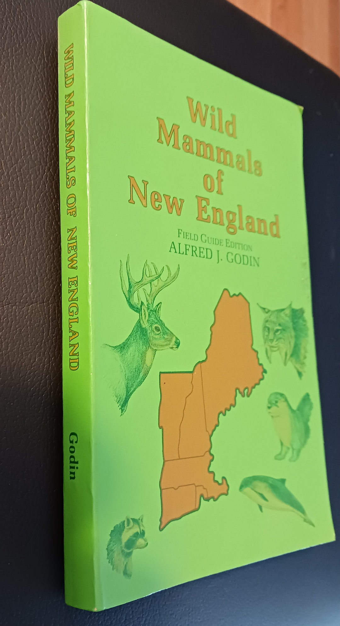 Wild Mammals of New England Field Guide W/beautiful Pen and Ink ...