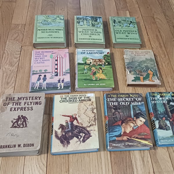 10 Collectible Children's Books:  Hardy Boys, Bobbsey Twins, Boy Scouts, Thornton Burgess