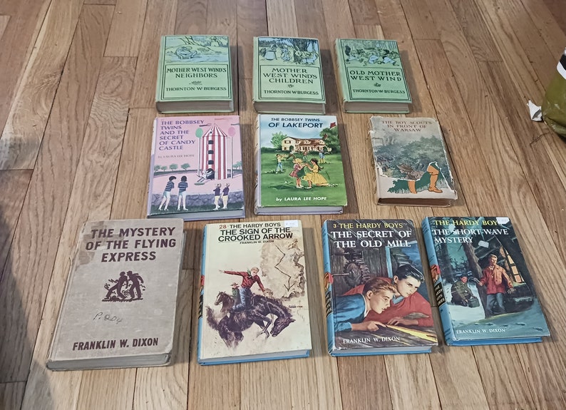 10 Collectible Children's Books: Hardy Boys, Bobbsey Twins, Boy Scouts ...