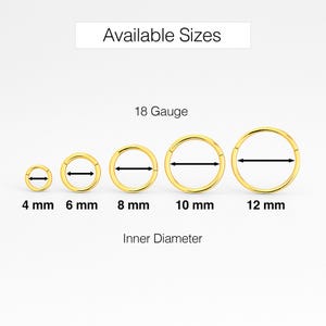 14K REAL Gold Hoop Earring, Minimal Hoop Earring, Rook Piercing, Cartilage Hoop, Daith Earring, Helix Tragus Conch Rook Earring, Septum Ring