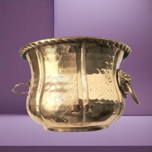 May include: A polished brass planter with a hammered texture and a rope-style rim. The vessel features vertical panels and two decorative lion head handles on opposite sides, each holding a circular metal ring for a classic, metallic appearance.