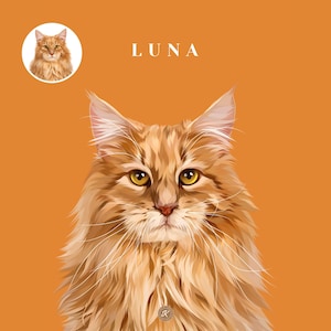 May include: A digital illustration of a long-haired ginger cat against a solid orange background. The name LUNA is printed in white capital letters above the cat. A small circular inset in the top left corner shows the same cat portrait.