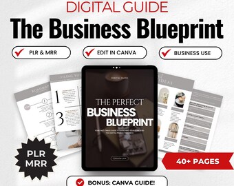 The Perfect Business Blueprint | Canva Editable Guide PLR & MRR | Launch Digital Business Template, Done For You Digital dfy eBook Template
