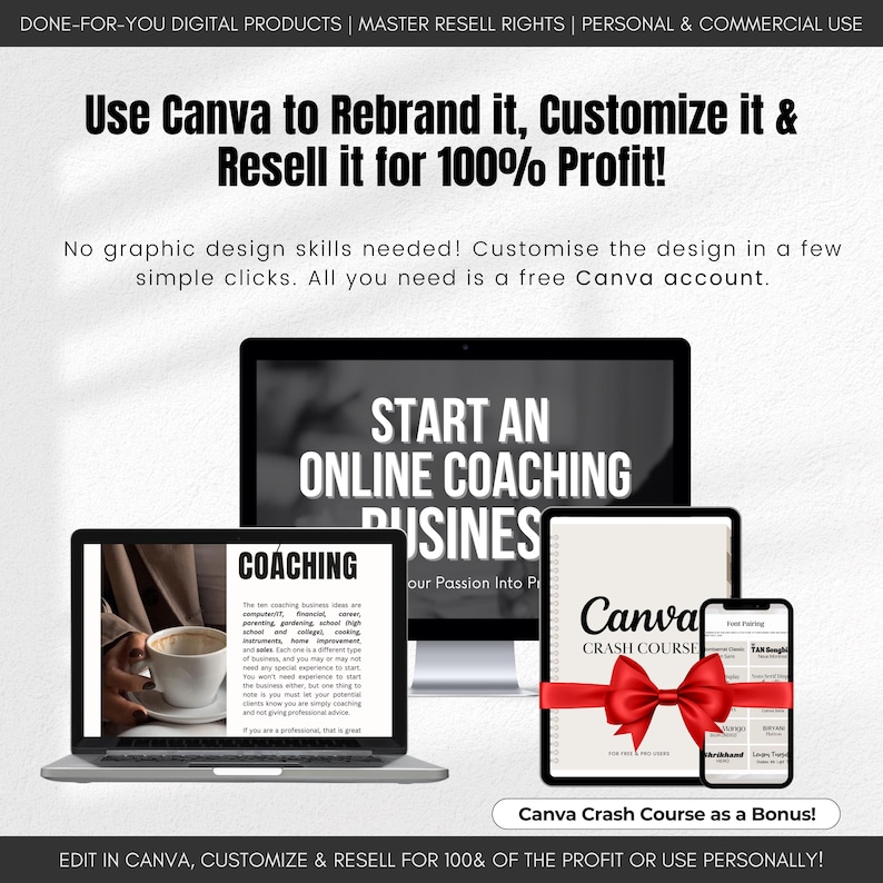 Start Online Coaching Business Ebook MRR PLR Resell Rights DFY Digital ...
