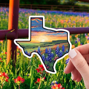 Texas State Vinyl Sticker, Colorful Texas Decal for Car, Laptop or Water Bottle, Perfect Texas Gift for Proud Texans, Gift for Texan Friends