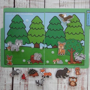In the Woodlands! Errorless Learning File Folder Game Pre-K Visual Discrimination Special Education Task Box Activity