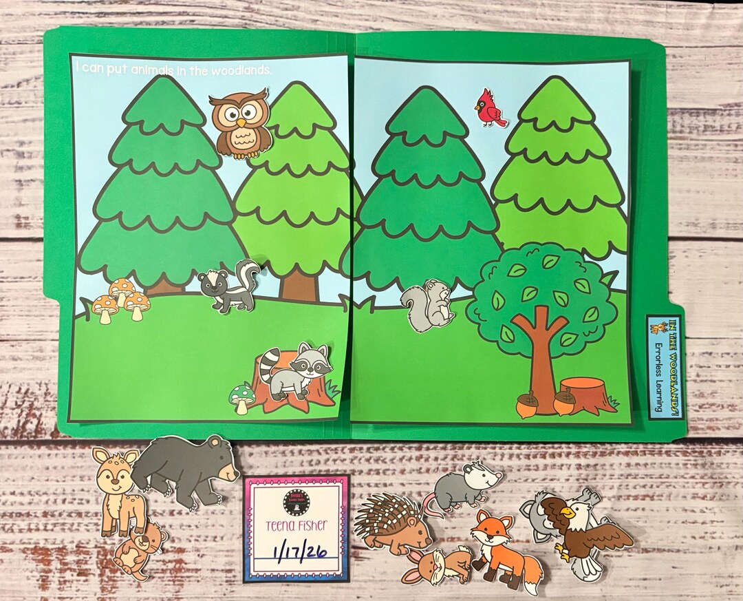 In the Woodlands! Errorless Learning File Folder Game Pre-k Visual ...