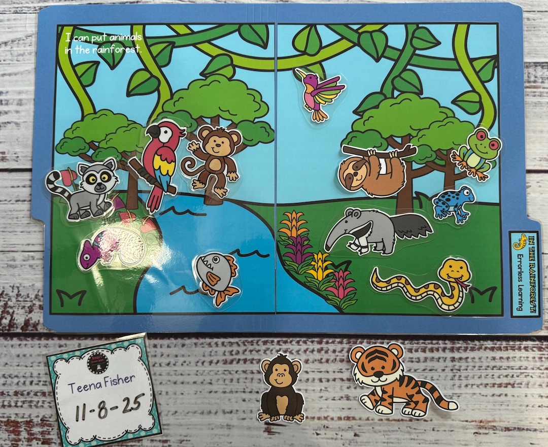 In the Rainforest! Errorless Learning File Folder Game Pre-k Visual ...