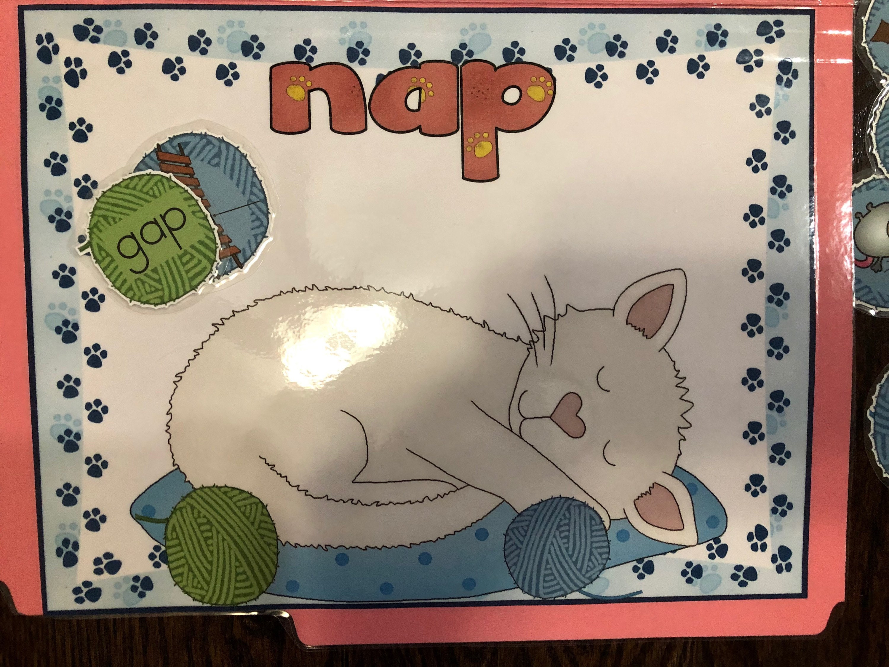 Cat Nap CVC Short A Ap/at Word Families Phonics Sort & Match Literacy ...