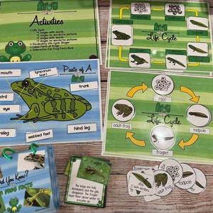 May include: Educational frog-themed learning materials. Includes activity sheets with the frog life cycle, parts of a frog, and fun facts. Features colorful illustrations and text labels for interactive learning. Includes flashcards and a booklet.