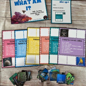 May include: Educational game with cards and text, titled "WHAT AM I?" and "Skill: Sorting Invertebrates into Phyla." Includes cards with animal images and descriptions of invertebrates like sea stars, spiders, mollusks, and jellyfish. The game is designed for educational purposes.