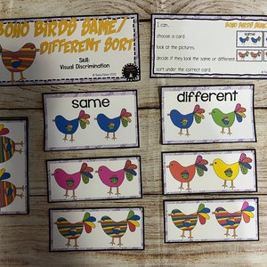 Boho Birds Sorting Same Different Visual Discrimination Task Box Busy Bag Laminated Educational Game Special Education Preschool Activity