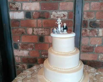 packers cake toppers etsy