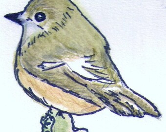 Original Watercolor and Ink ACEO Pied Flycatcher, Watercolor Original ACEO, Original Watercolor Bird Painting