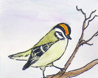 Original Watercolor and Ink ACEO Painting, Watercolor and Ink Golden Crowned Kinglet ACEO, Original Watercolor and Ink Bird ACEO Painting