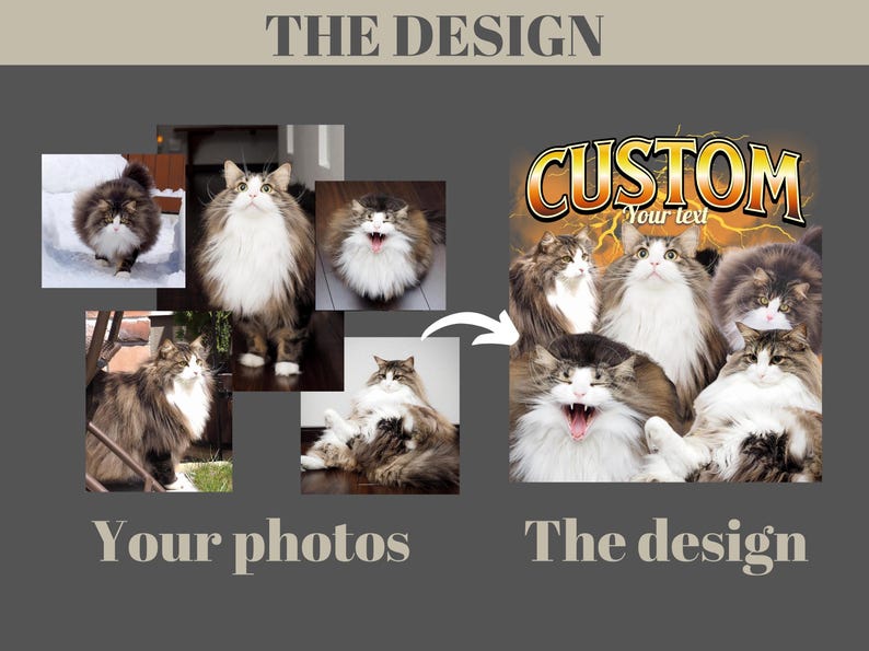 May include: A collage of five individual photos of long-haired brown and white cats on the left, and a composite graphic design on the right featuring the same cats with the text CUSTOM Your text and a yellow lightning bolt background effect.