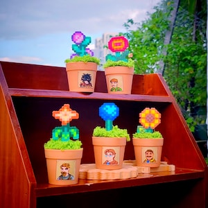 Peut inclure: Une étagère en bois présente six pots de fleurs en terre cuite, chacun avec un motif de fleur pixélisée différent. Les fleurs sont dans des tons de rose, d'orange, de bleu et de jaune, avec des tiges et des feuilles vertes. Chaque pot a un portrait de personnage.