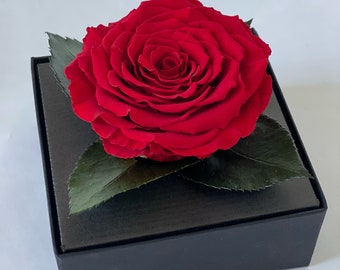 Miglior fiore di Rose per sempre conservato in scatola rotonda