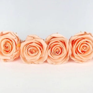Preserved rose head peach I Preserved rose for anniversary I Forever rose I diy rose
