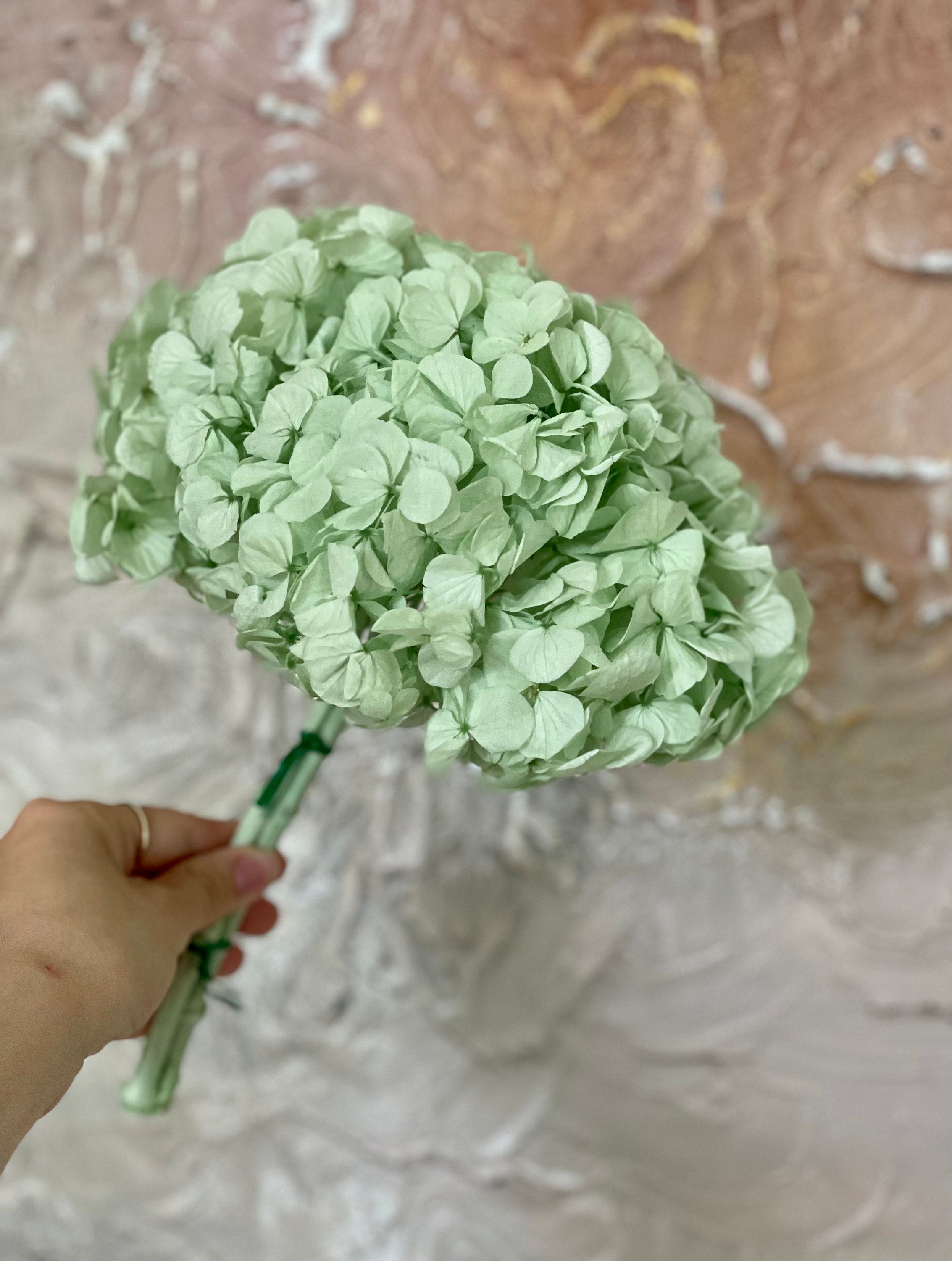 Mint green bouquet - Etsy México, image size:2266x3000