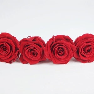 Preserved rose head red I Preserved rose for anniversary I Forever rose I diy rose