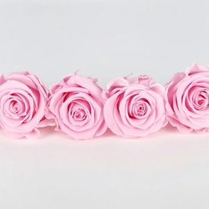Preserved rose head light pink I Preserved rose for anniversary I Forever rose I diy rose