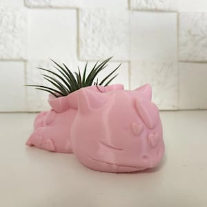 May include: A pink 3D printed planter shaped like a sleeping cat with a small air plant inside.