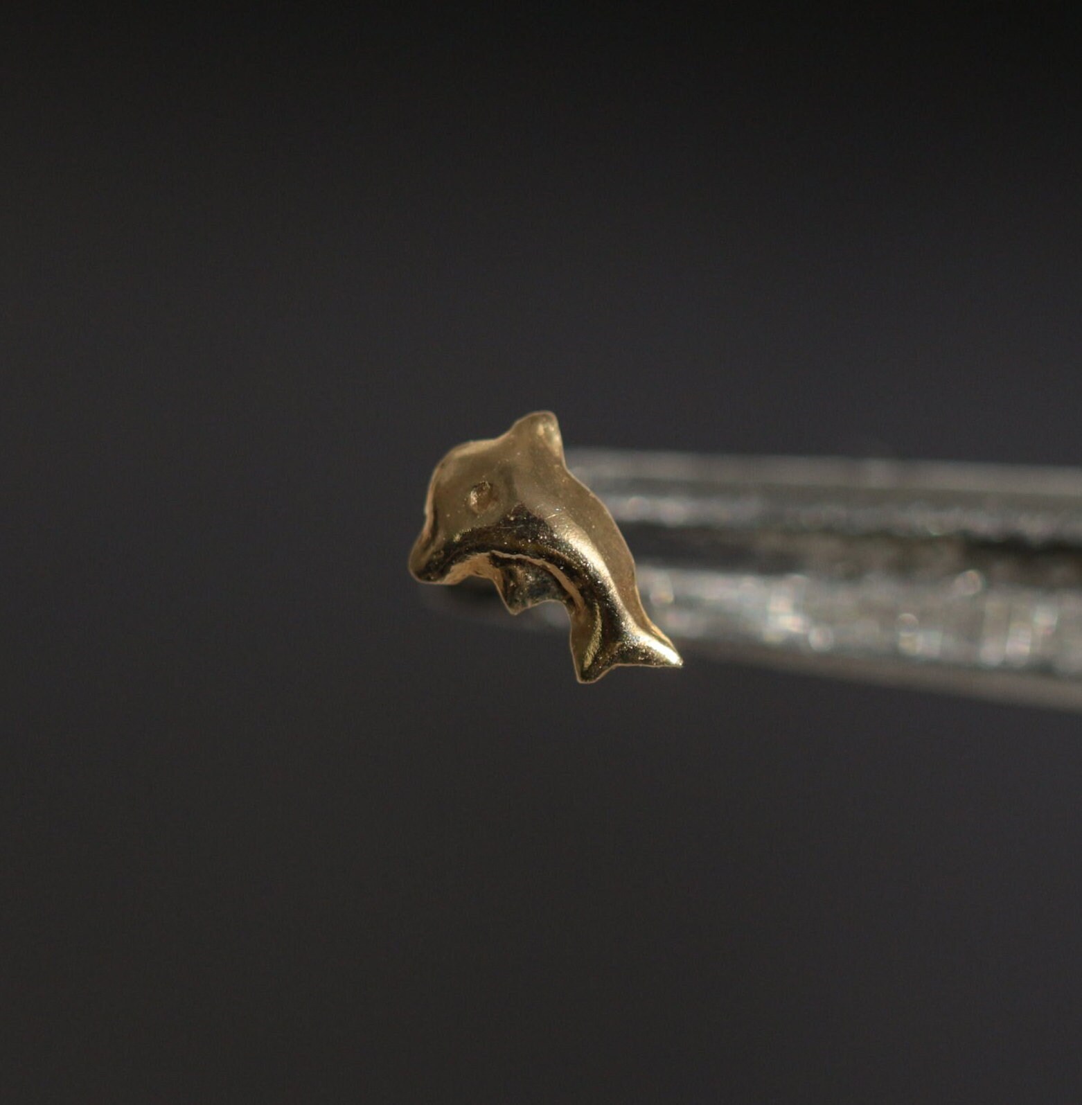 Dolphin Nose Stud Etsy Canada