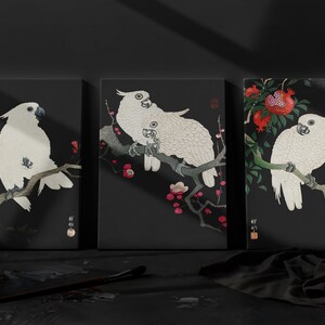 Ohara Koson Canvas Art Set Of 3 | Cockatoo and Pomegranate Japanese Prints, Vintage Bird & Flower Art, Ukiyo-e Style Canvas Wall Decor