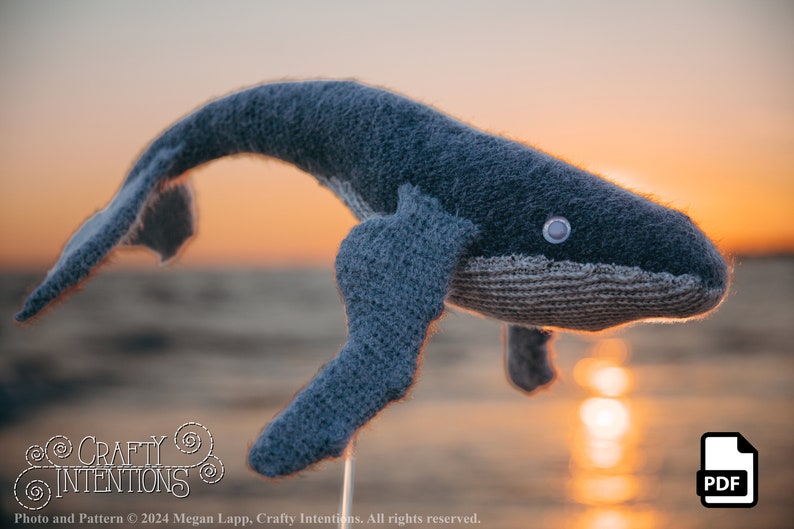 Whale Crochet Pattern by Crafty Intentions Downloadable DIGITAL PDF image 8