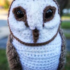 Barn Owl Crochet Pattern by Crafty Intentions DIGITAL PDF Downloadable image 8