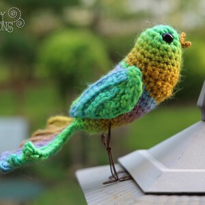Song Bird Crochet Amigurumi Digital PDF Pattern by Crafty Intentions image 6