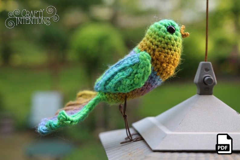 Song Bird Crochet Amigurumi Digital PDF Pattern by Crafty Intentions image 6