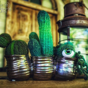 Succulent Cactus Eyeball Plant Crochet Amigurumi Digital PDF Pattern by Crafty Intentions image 3