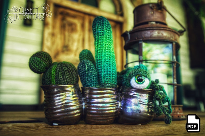 Succulent Cactus Eyeball Plant Crochet Amigurumi Digital PDF Pattern by Crafty Intentions image 3